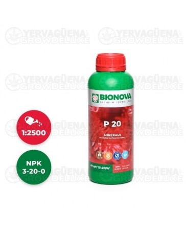 BN P 20 Bionova