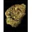 Watermelon Zkittlez Auto BARNEY´S FARM