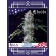 Buddha Auto Cookie BUDDHA SEEDS