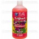 Tripart Bloom TA