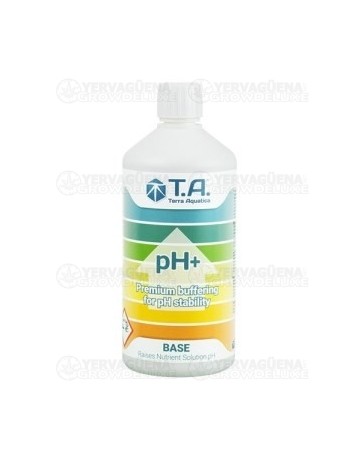 PH+ Up TA