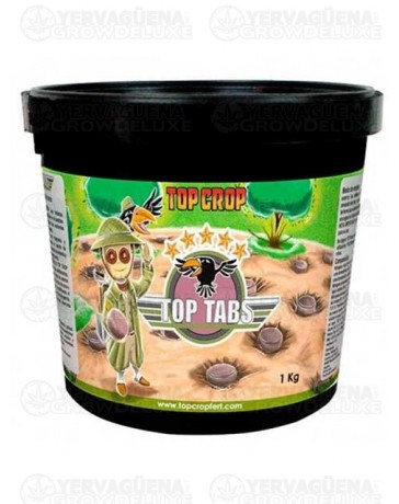 Top Tabs - Top Crop 