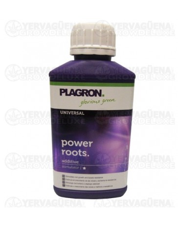 Power Roots Plagron