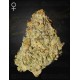 Super Lemon Haze x OGM - GREEN HOUSE SEEDS 
