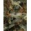 BCN Critical XXL Autofloreciente - Seedstockers