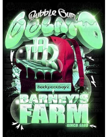 Bubblegum Gelato - Barney's Farm