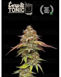Terp & Tonic - Seedstockers