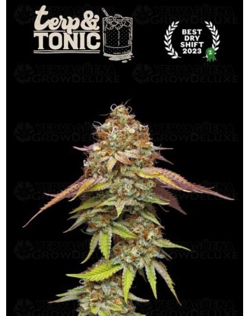 Terp & Tonic - Seedstockers