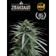 Zmäkdaun - Seedstockers