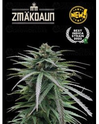 Zmäkdaun - Seedstockers