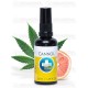 Cannol Aceite de Cáñamo - Annabis