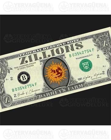 Zillions - Barney’s Farm