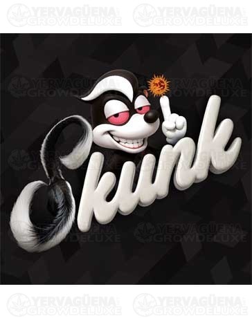 Skunk #1 - Barney’s Farm