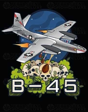 B-45 – Silent Seeds