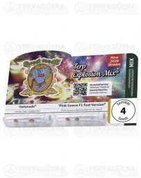 Terp Explosion Mix - Sweet Seeds