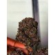 Purple Haze Auto- Fast Buds Seeds