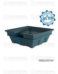 EBB&GROW - TERRA ACUATICA