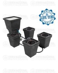 CULTIMATE 4 PACK - TERRA ACUATICA