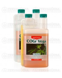 COGr Vega A+B Canna