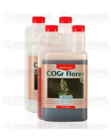 COGr Flores A+B Canna