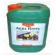 Aqua Flores A Canna