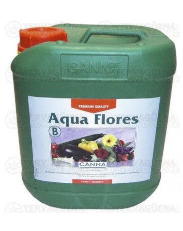 Aqua Flores B Canna