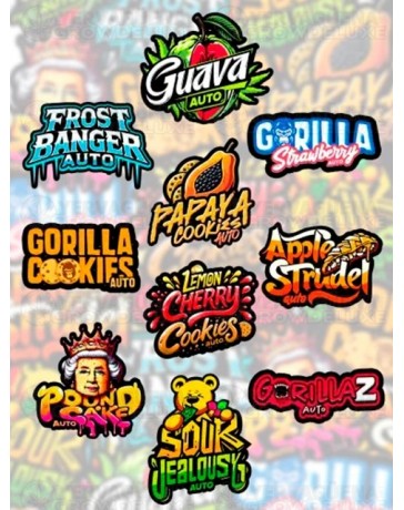 Mix Pack Auto - FastBuds Seeds