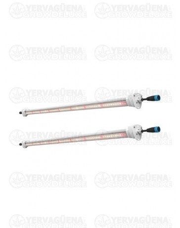 Inter Canopy LED - SOLUX