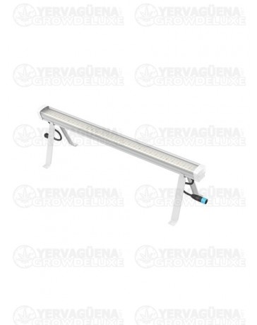 Under Canopy LED - SOLUX