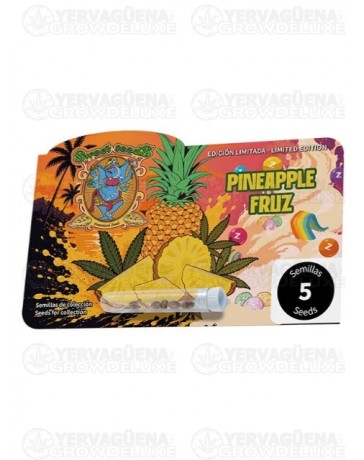 Pineapple Fruz - Sweet Seeds