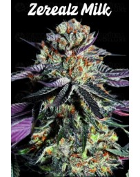 Zerealz Milk - Advanced Seeds