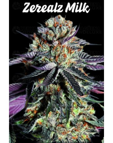 Zerealz Milk - Advanced Seeds