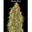 Zkittlez Fast - Advanced Seeds