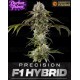 Durban Poison - Barney's Farm