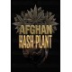 Afghan Hash Plant Auto - Barney's Farm