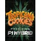 Tropicana Cookies Auto - Barney's Farm