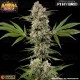 Banana Runtz - Barney's Farm