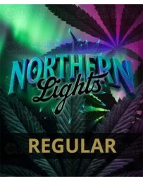 Northern Lights Regular - Barney's Farm