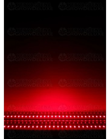 NIR Twins 2x22W - Agrolite