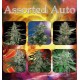 Assorted Auto Buddha Seeds