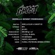 Gorilla Ghost - BSF Seeds