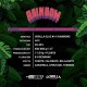 Gorilla Rainbow - BSF Seeds