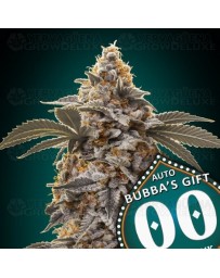 Auto Bubba´s Gift - 00 Seeds