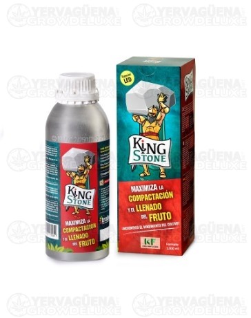 King Stone - Trabe