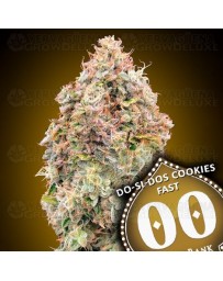 Do-Si-Dos Cookies Fast - 00 Seeds