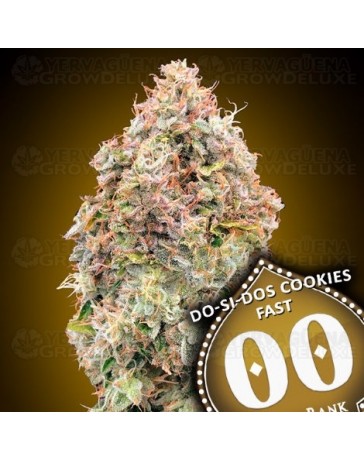 Do-Si-Dos Cookies Fast - 00 Seeds