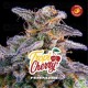 Tropicherry - BSF Seeds