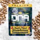 Double Dipped Strawberry - DNA Genetics