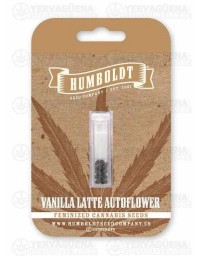 Vanilla Latte Auto - Humboldt Seed Company