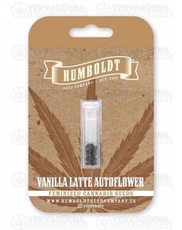 Vanilla Latte Auto - Humboldt Seed Company
